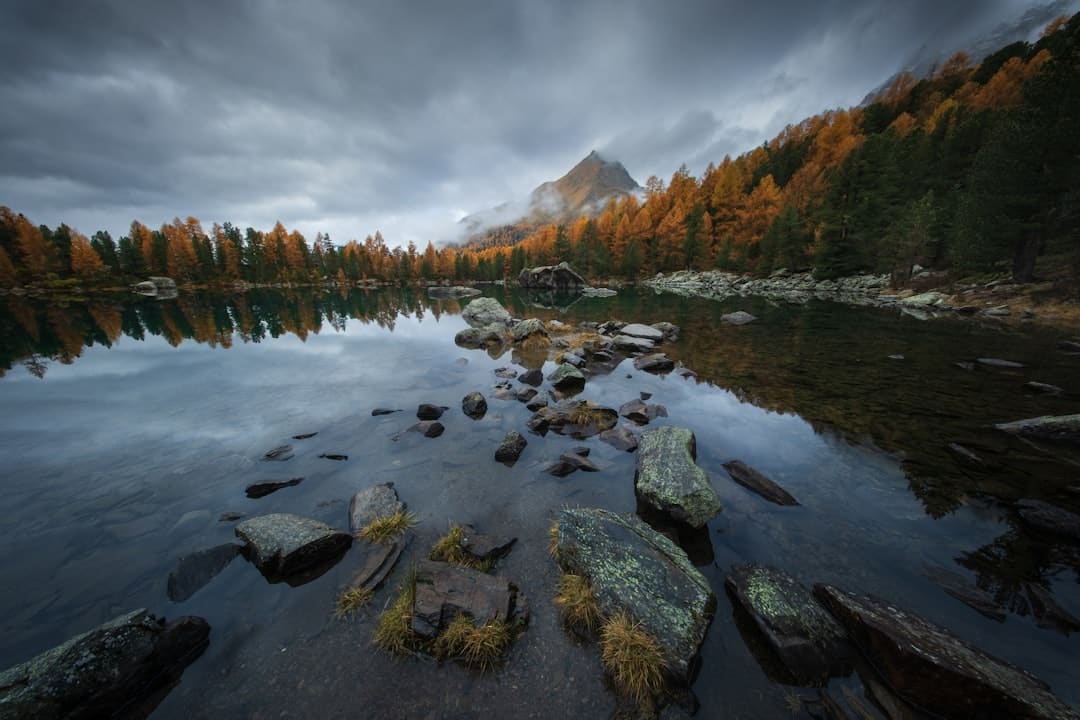 https://img0.utuku.imgcdc.com/640x0/news/20250905/35f2e5a6-b8ee-4740-83e8-aecfa5208e9c.jpg